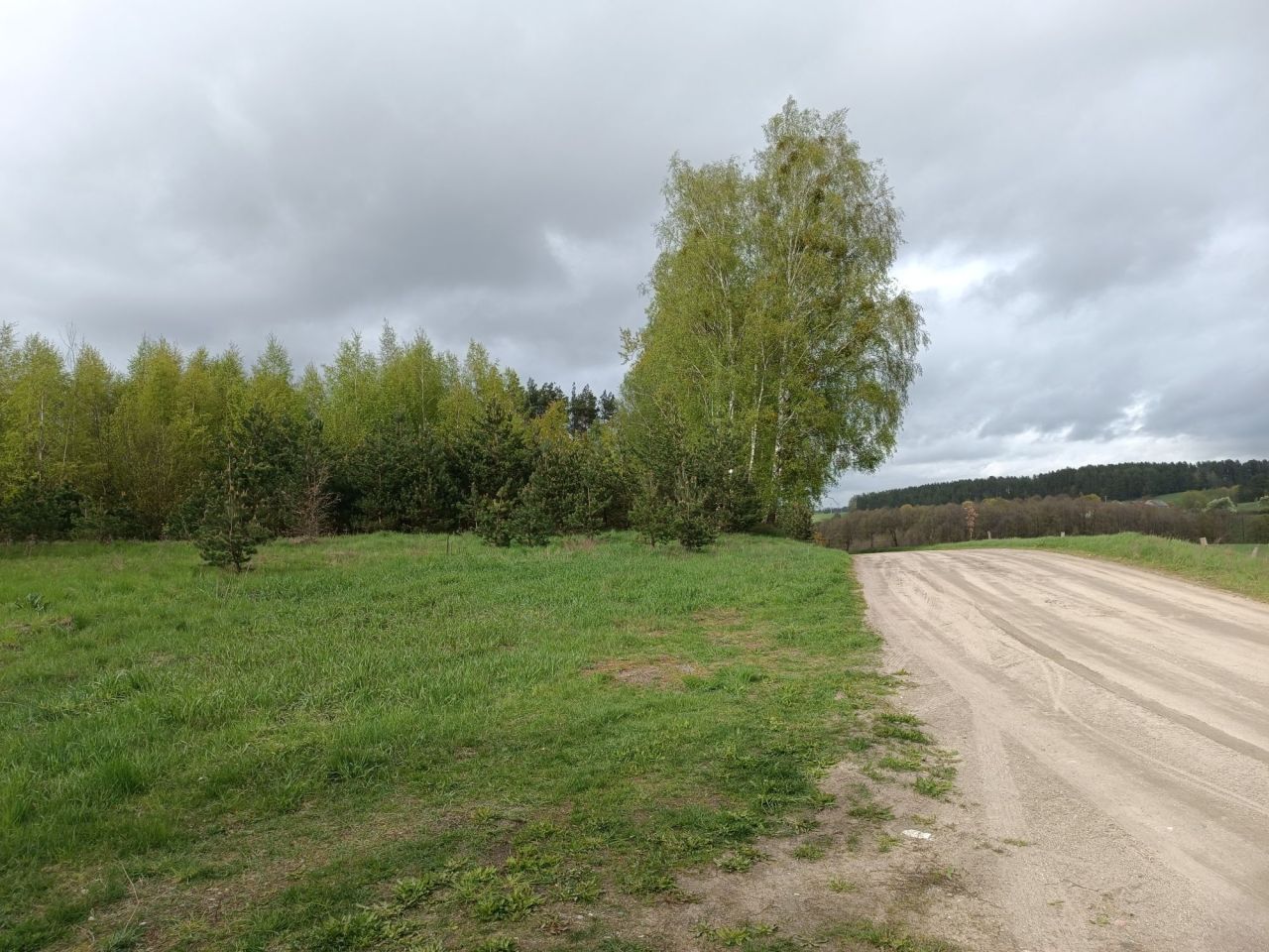 Działka leśna Wierzbowo. Zdjęcie 1