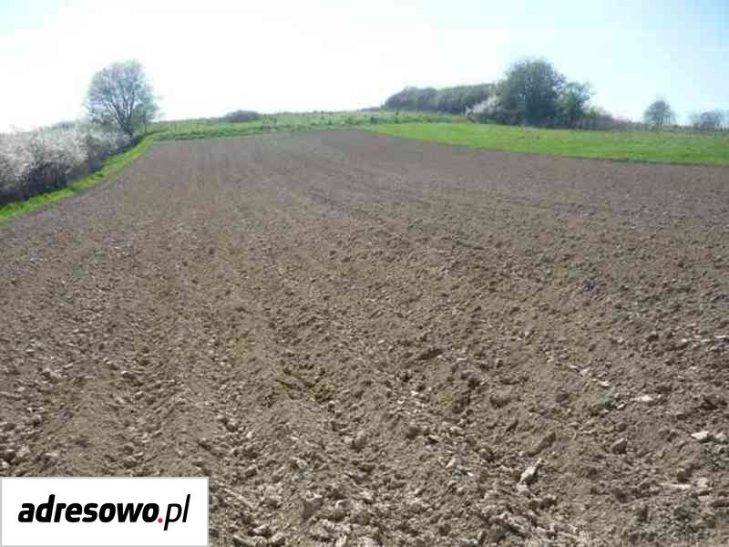 Działka budowlana Brzozów. Zdjęcie 2