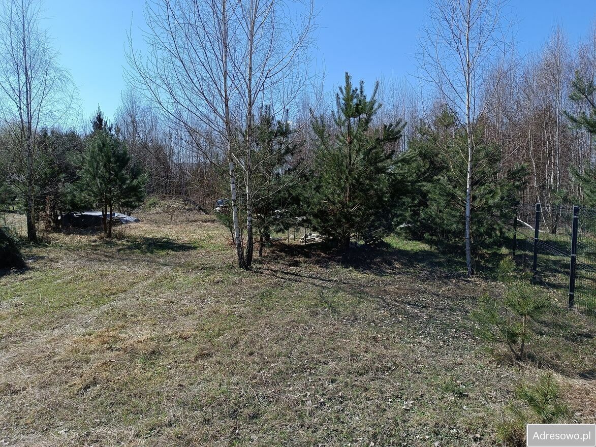 Działka rekreacyjna Janowice. Zdjęcie 3