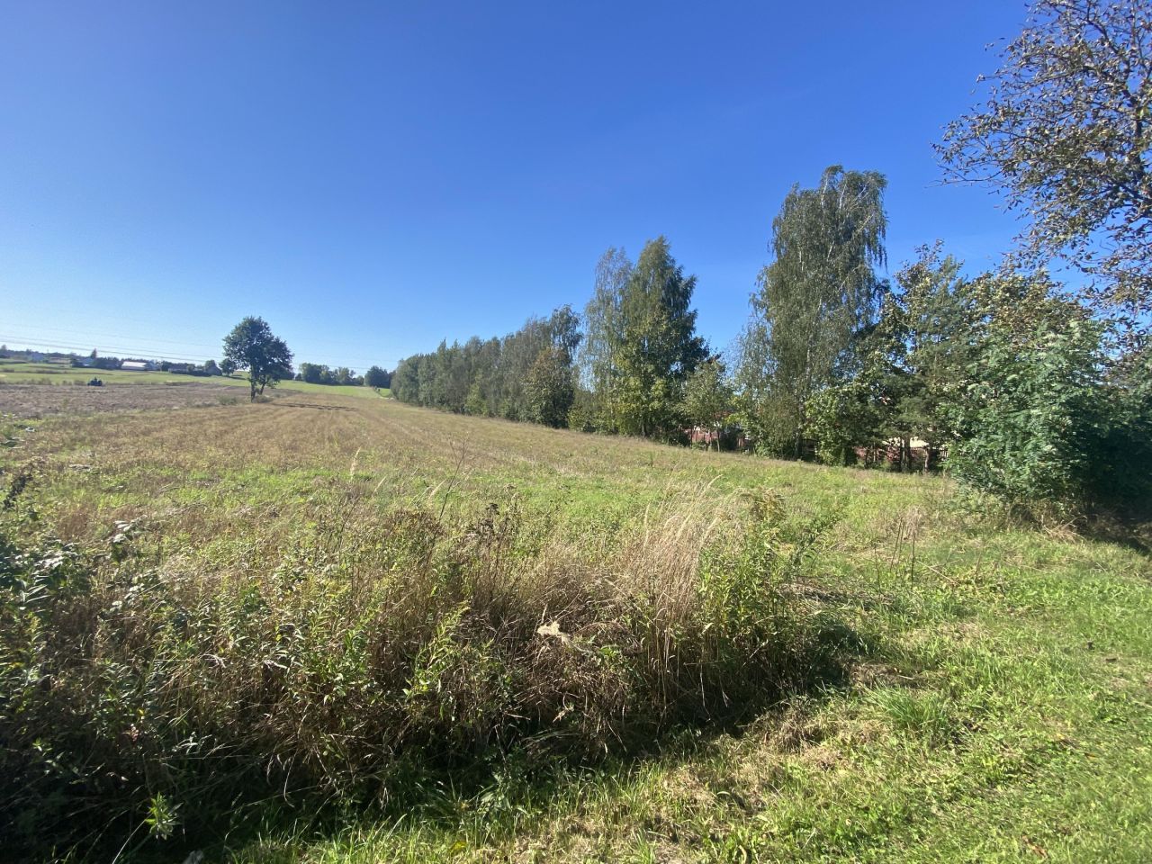 Działka rolna Stawki Zofiówka. Zdjęcie 5