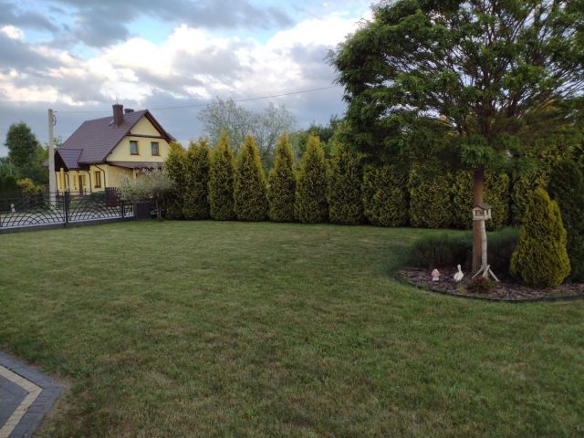 dom wolnostojący, 6 pokoi Trzebownisko Zawodzie. Zdjęcie 17