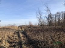 Działka budowlana Bytom, ul. Węglowa. Zdjęcie 4