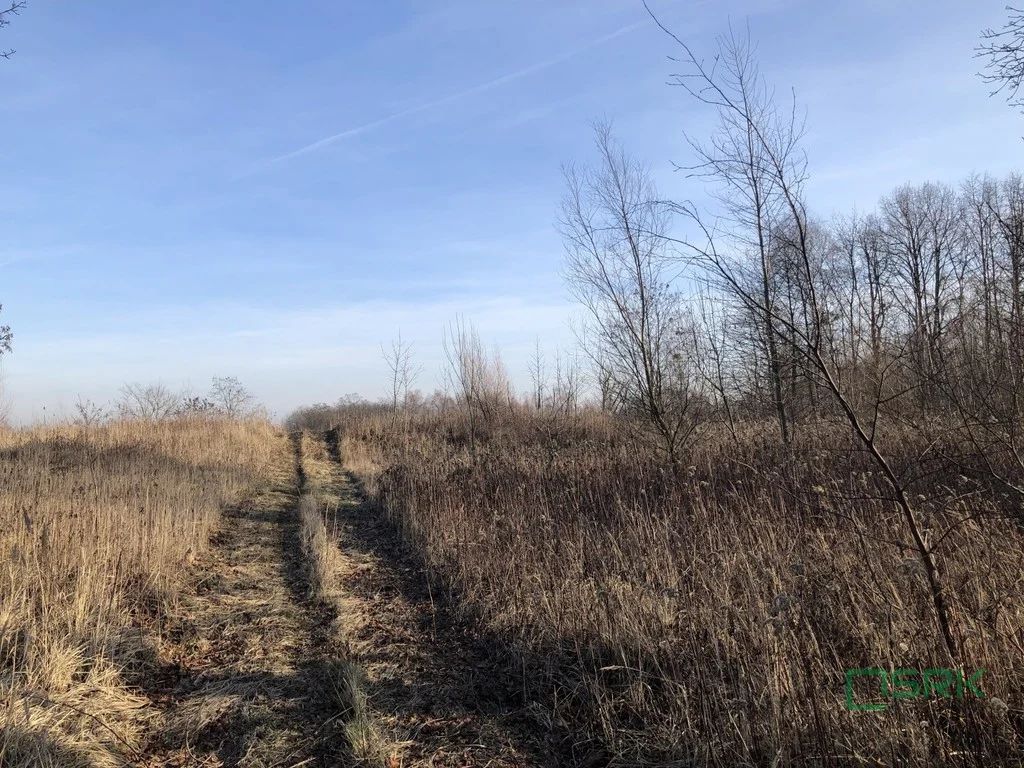 Działka budowlana Bytom, ul. Węglowa. Zdjęcie 6