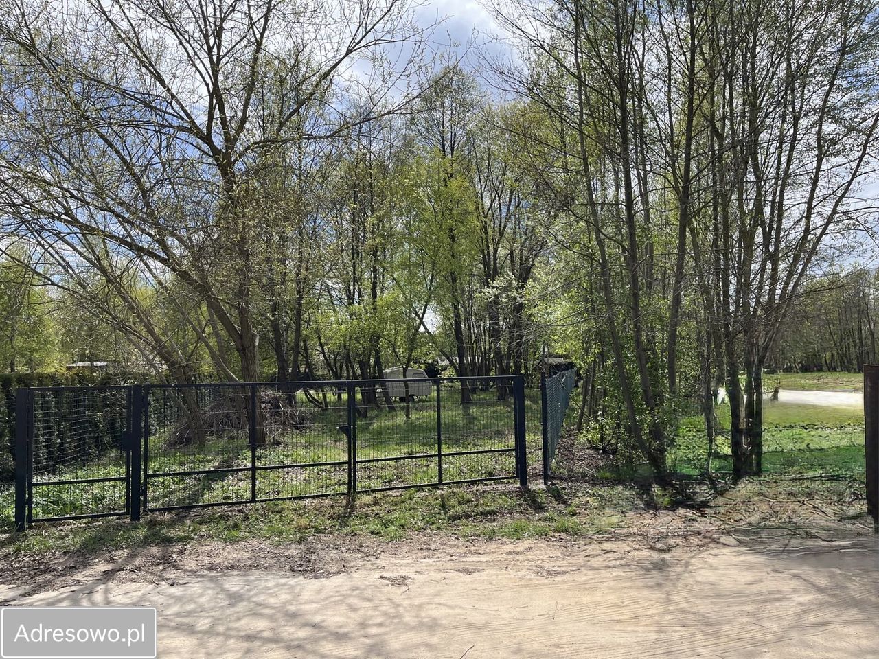 Działka budowlana Rybno Wielkie, ul. Grabowa. Zdjęcie 8