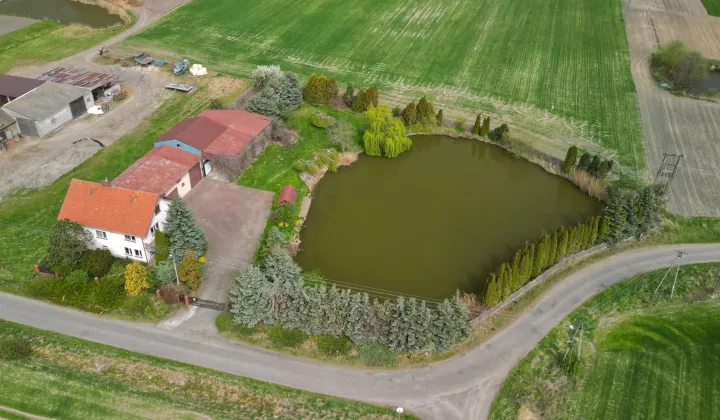 dom wolnostojący, 5 pokoi Małachowice-Kolonia