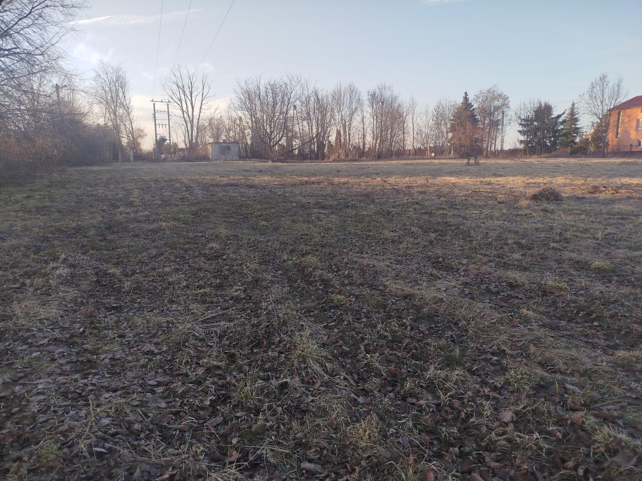Działka rolno-budowlana Bałdrzychów. Zdjęcie 4