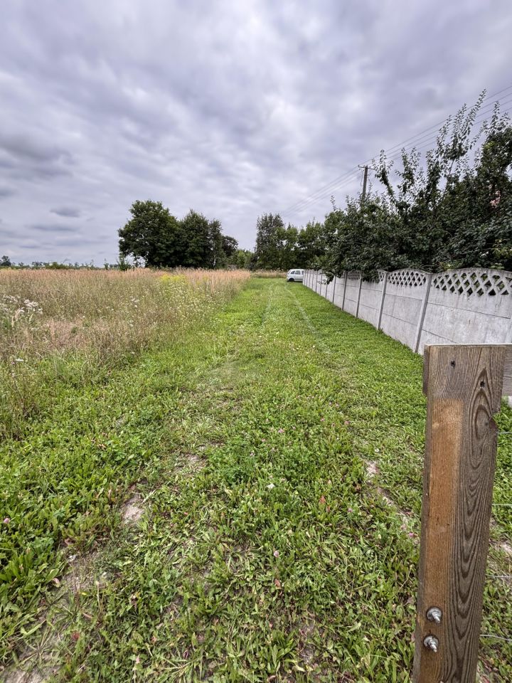 Działka budowlana Cienin Kościelny. Zdjęcie 6