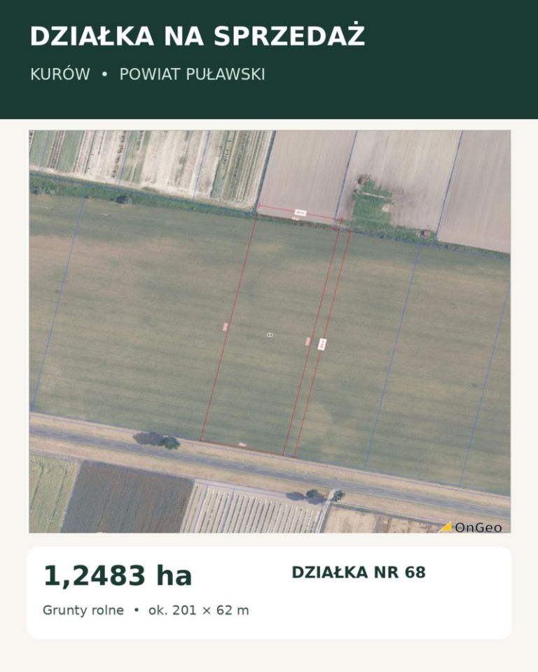 Działka inwestycyjna Kurów. Zdjęcie 1