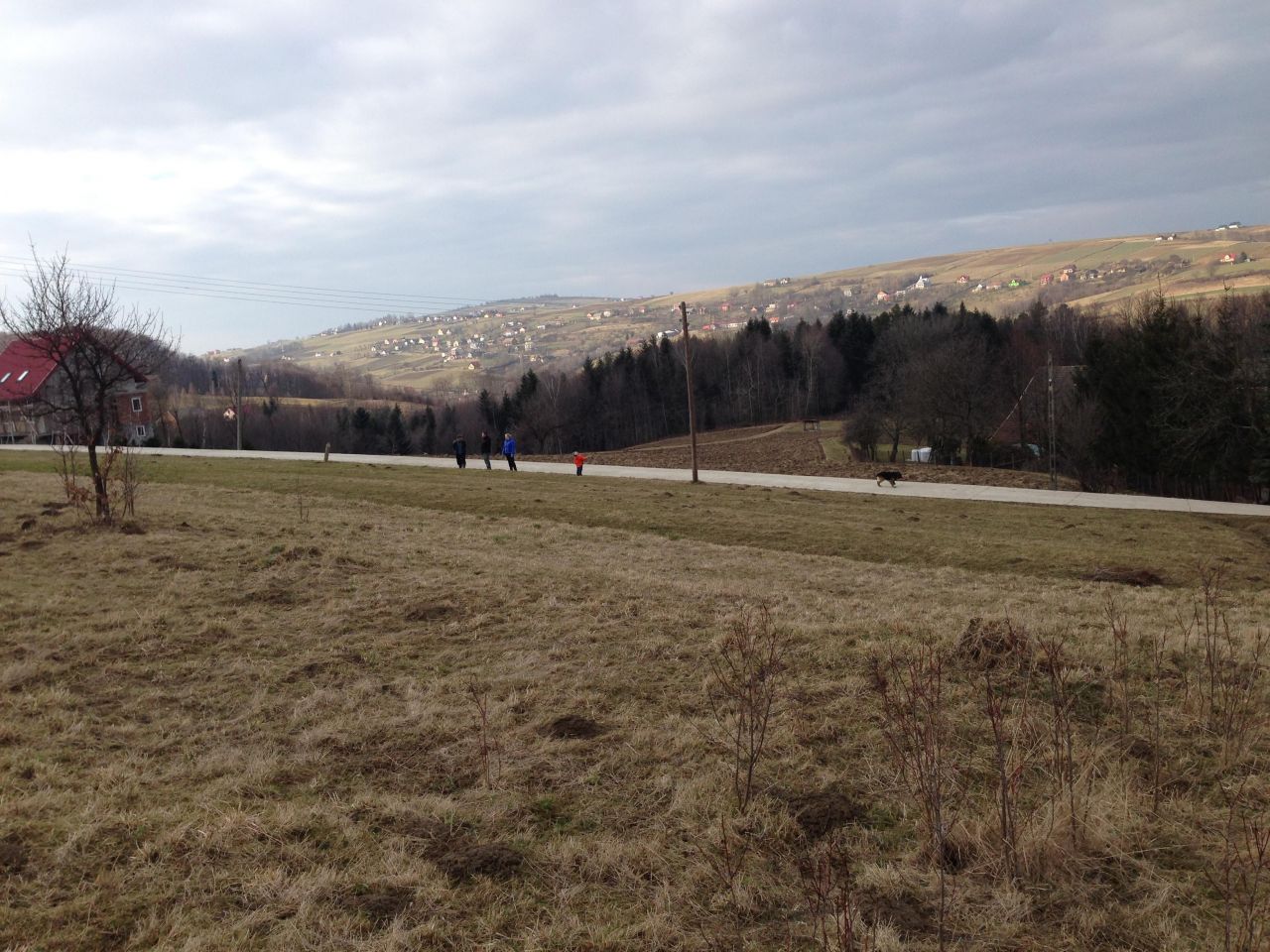 Działka budowlana Siedlce Małe Zagórze. Zdjęcie 2