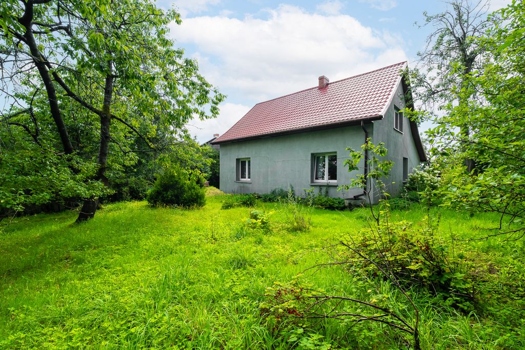 Działka rolna Sielsko. Zdjęcie 9