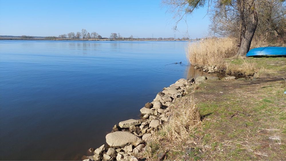 dom wolnostojący Widuchowa. Zdjęcie 2