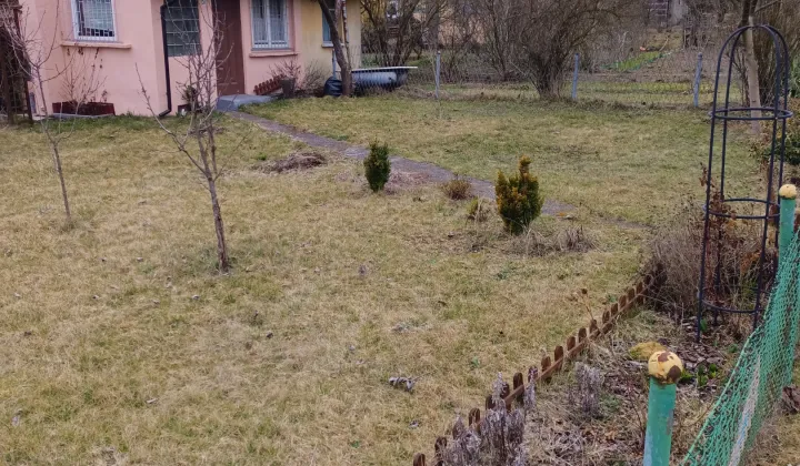 Działka rod Lubin Małomice, ul. Spacerowa