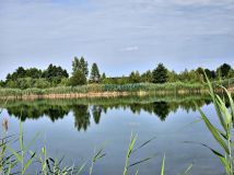 Działka budowlana Wojnicz. Zdjęcie 4