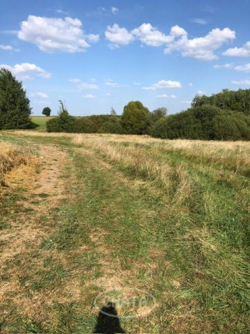 Działka rolna Huta Wielka. Zdjęcie 3