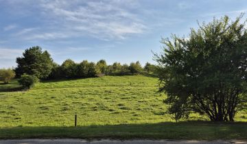 Działka rolno-budowlana Suryty