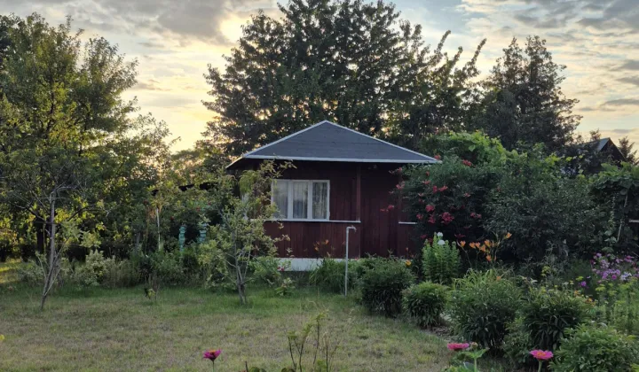 Działka rod Świdnik, ul. Lotnicza