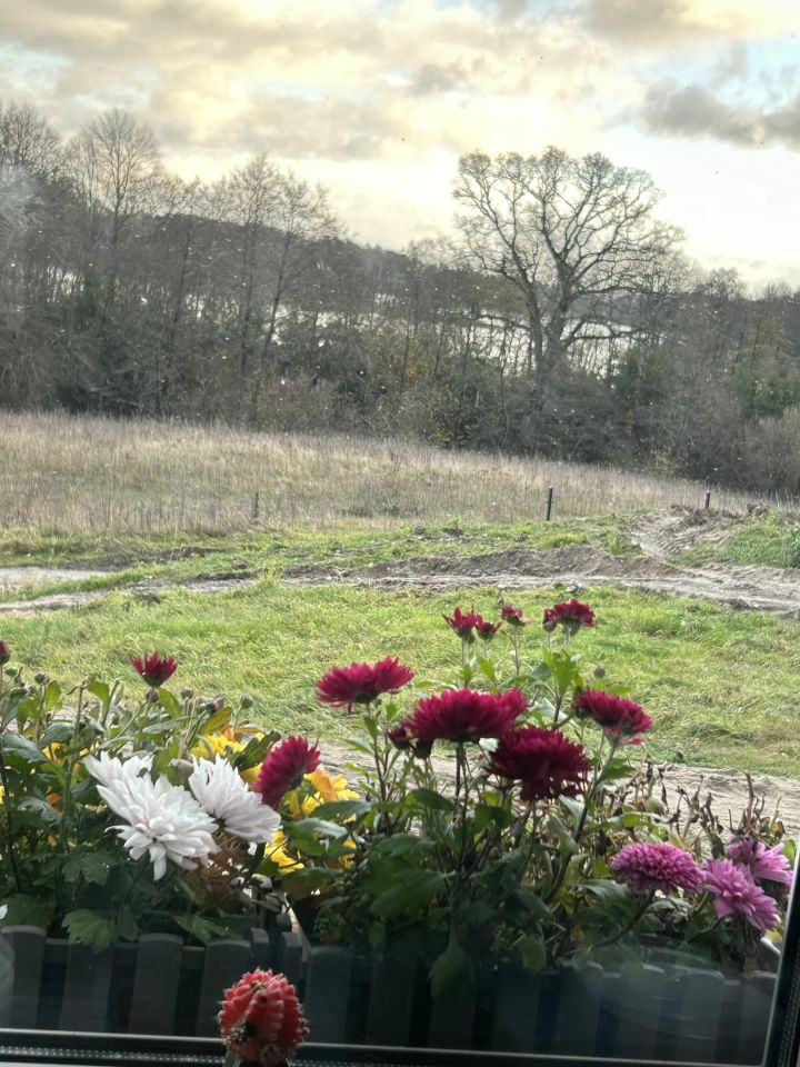 dom wolnostojący, 4 pokoje Żółte. Zdjęcie 23