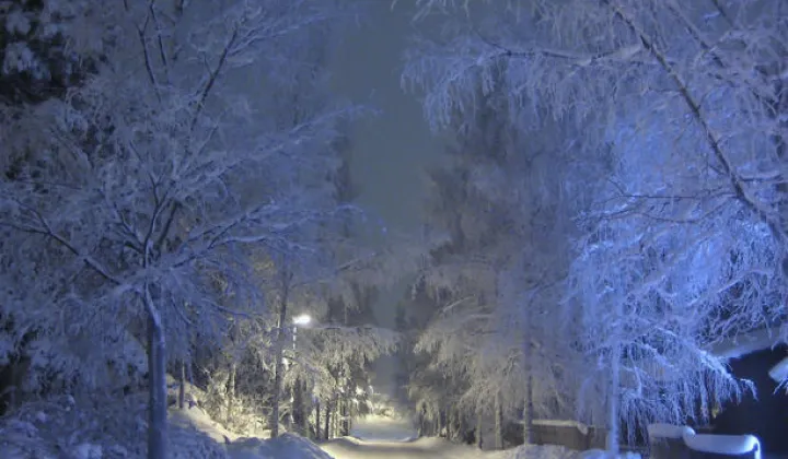 Działka budowlana Trojanowice, ul. Widokowa