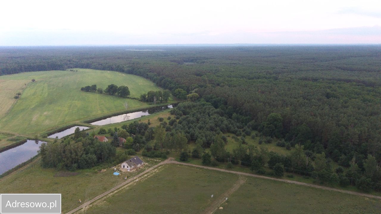 Działka budowlana Gajec. Zdjęcie 7