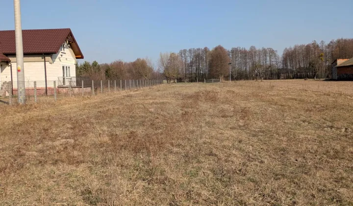 Działka rolna Szczawin