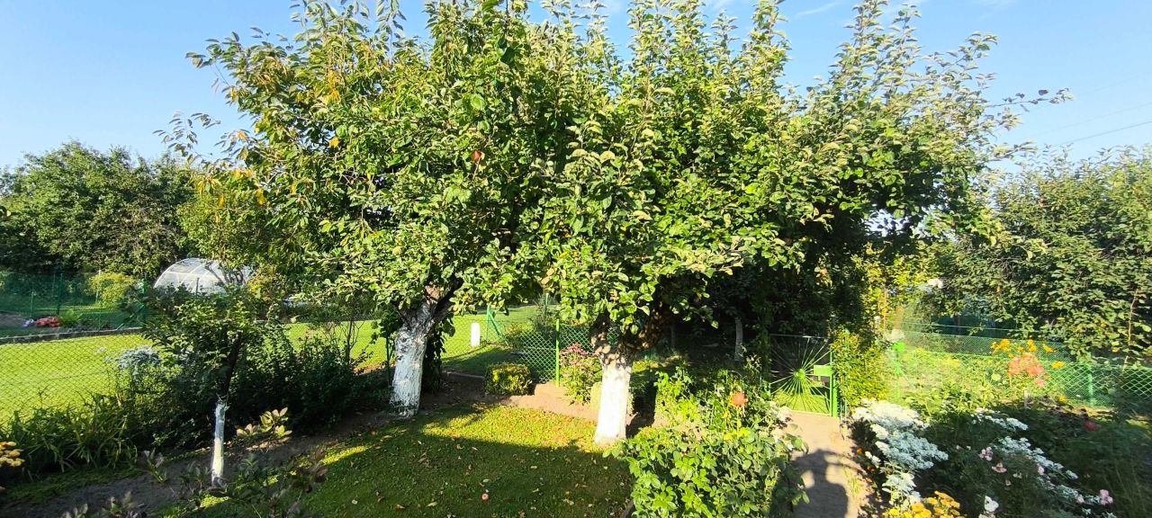 Działka rod Bystrzyca Kłodzka. Zdjęcie 4