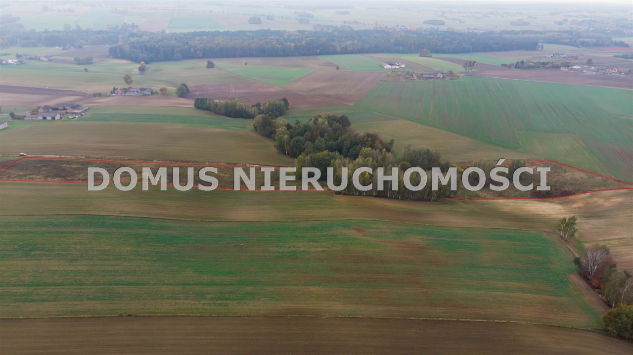 Działka rolna Jasień. Zdjęcie 4