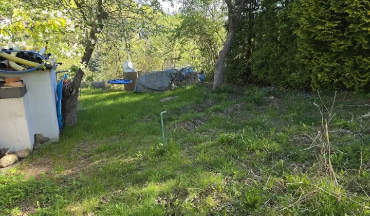 Działka rod Szczecin Golęcino