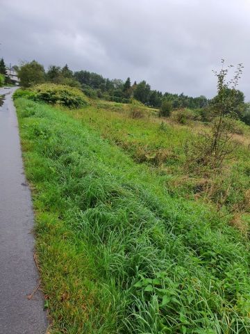 Działka budowlana Żywiec Zabłocie, ul. Łęgowa. Zdjęcie 1