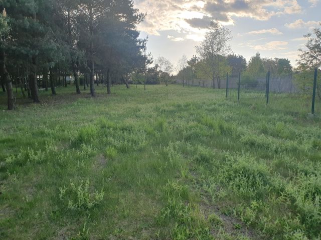 Działka budowlana Golesze-Parcela. Zdjęcie 1