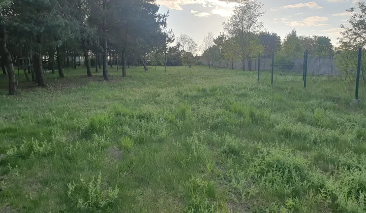 Działka budowlana Golesze-Parcela