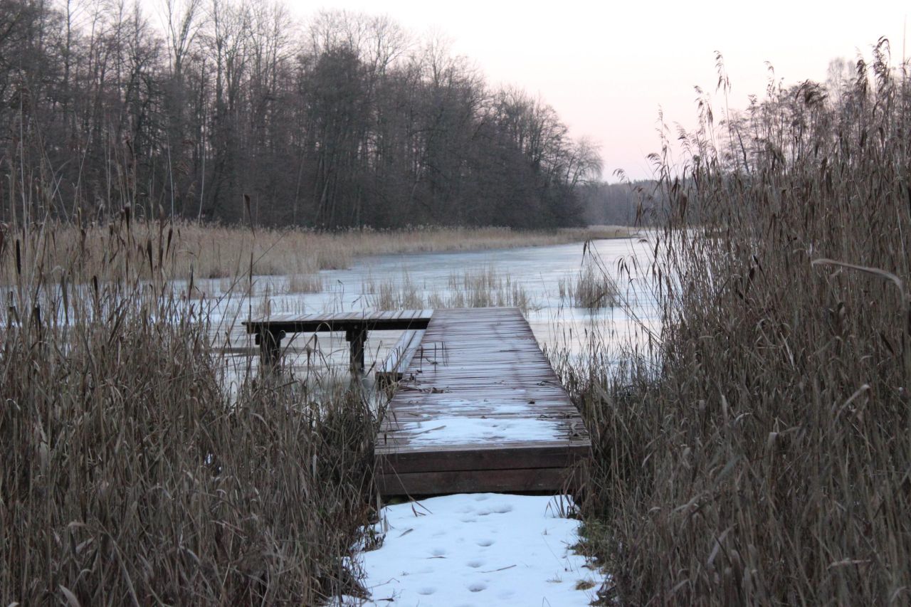 Działka budowlana Dziśnity. Zdjęcie 10