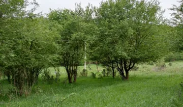 Działka na sprzedaż bez pośredników 
 
 Stryszawa - Widok 5