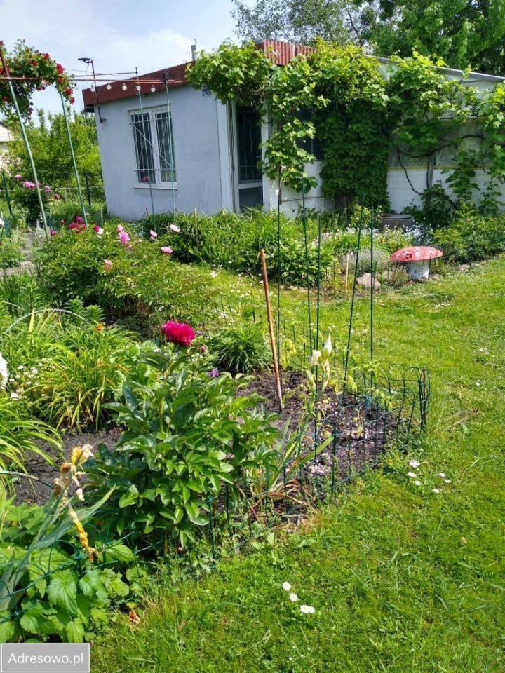 Działka rod Lisi Ogon