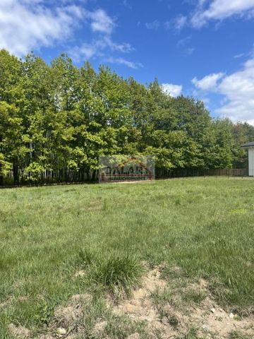 Działka budowlana Korzeniówka. Zdjęcie 9