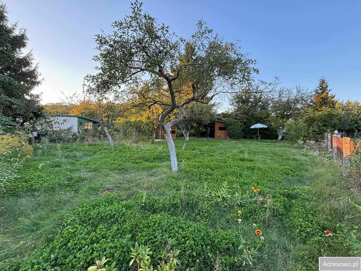 Działka rod Szczecin Śródmieście. Zdjęcie 7