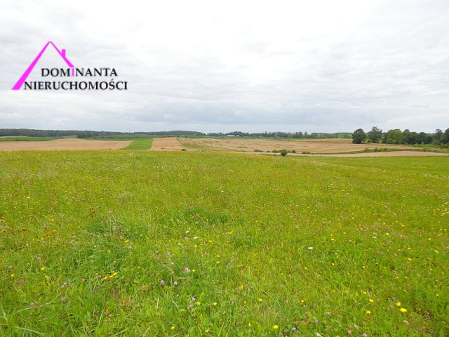 Działka rolna Gronowo. Zdjęcie 5