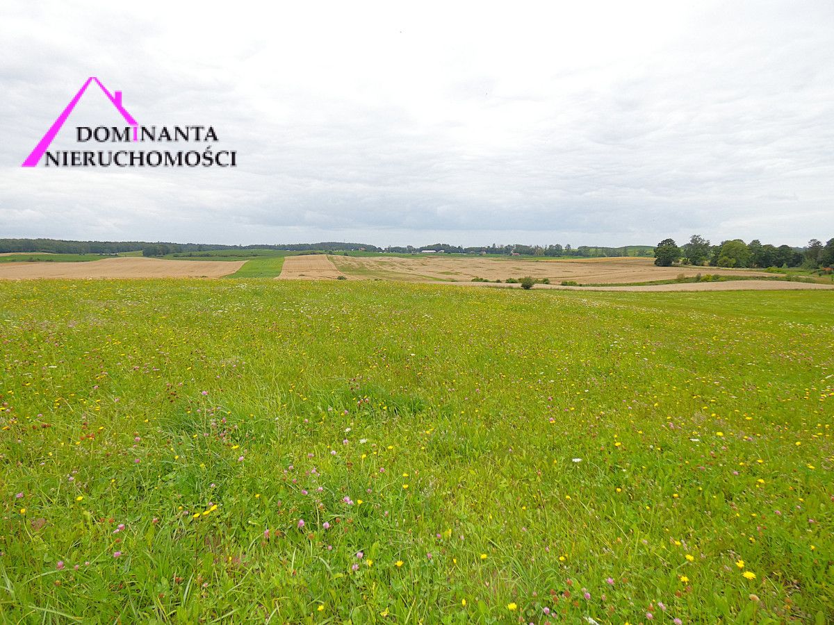 Działka rolna Gronowo. Zdjęcie 5