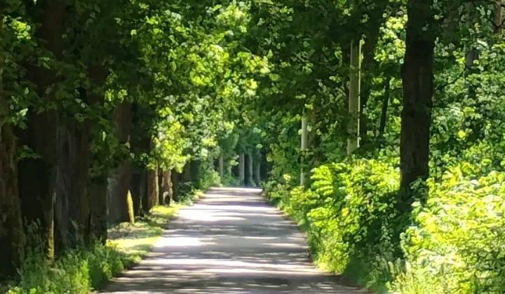 Działka budowlana Silniczka, ul. Zielona