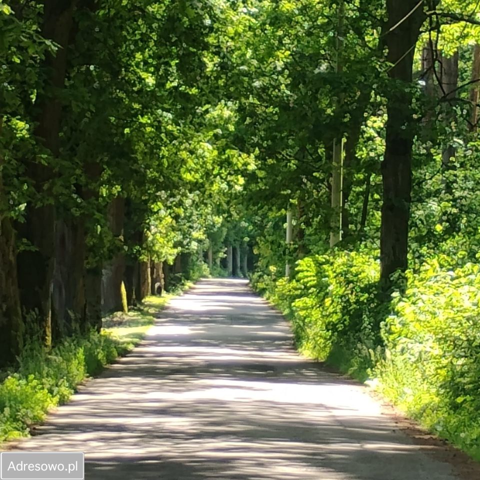 Działka na sprzedaż bez pośredników          
          
            ul. Zielona          
          
            Silniczka - Widok 2