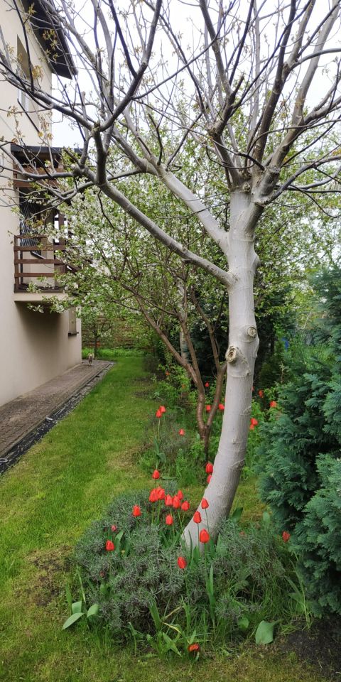 dom wolnostojący, 6 pokoi Łódź Górna, ul. Obywatelska. Zdjęcie 17