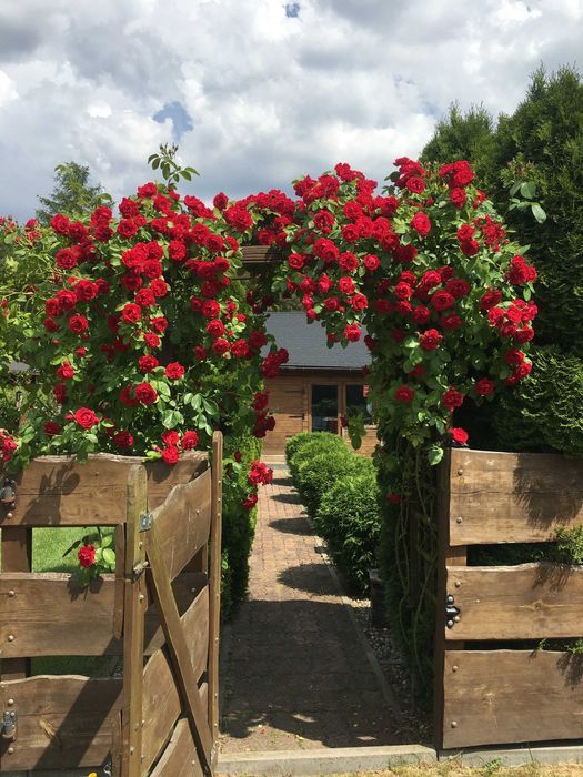 Działka rekreacyjna Włocławek Rybnica. Zdjęcie 4