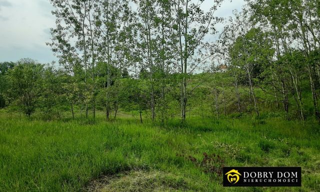 dom wolnostojący, 6 pokoi Goniądz. Zdjęcie 11