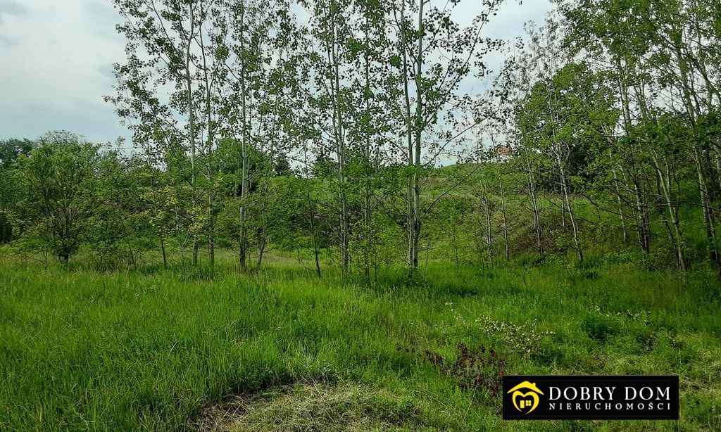 dom wolnostojący, 6 pokoi Goniądz. Zdjęcie 11