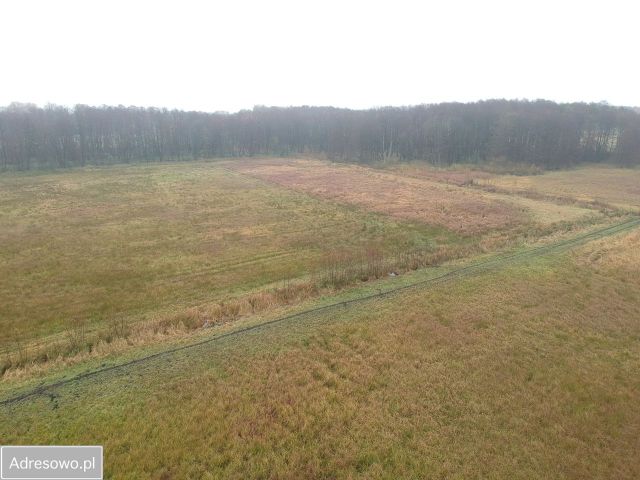 Działka rolna Ostrzyca. Zdjęcie 1