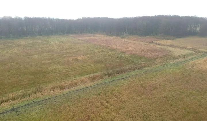 Działka rolna Ostrzyca