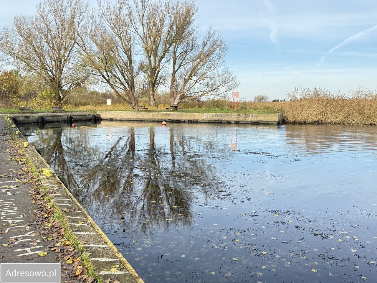 Działka rolna Sierosław. Zdjęcie 13