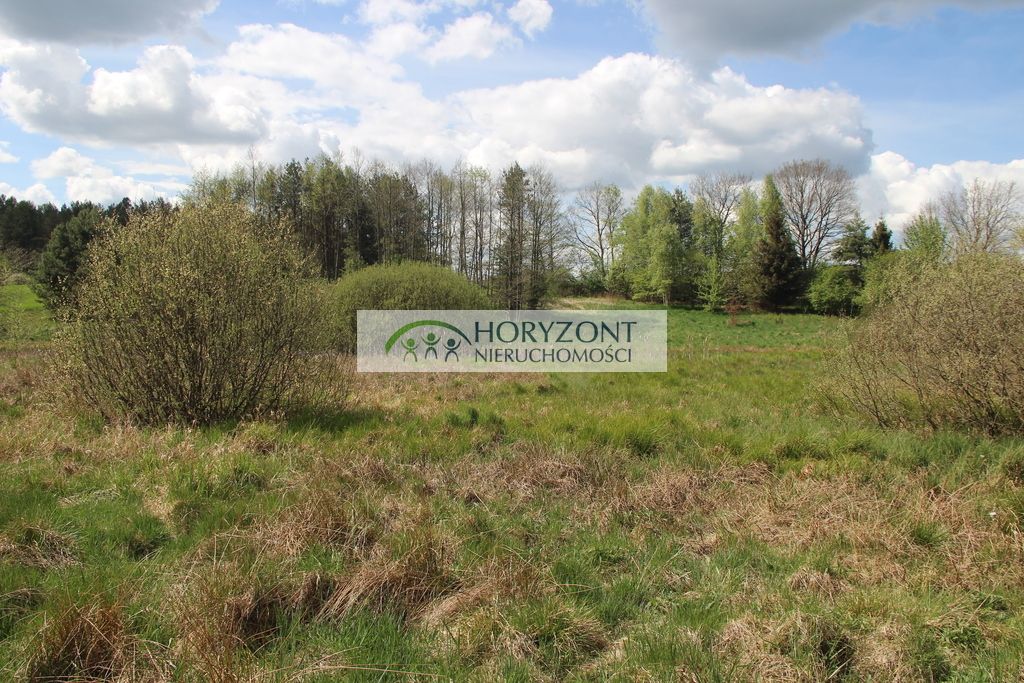 Działka budowlana Sitno. Zdjęcie 8