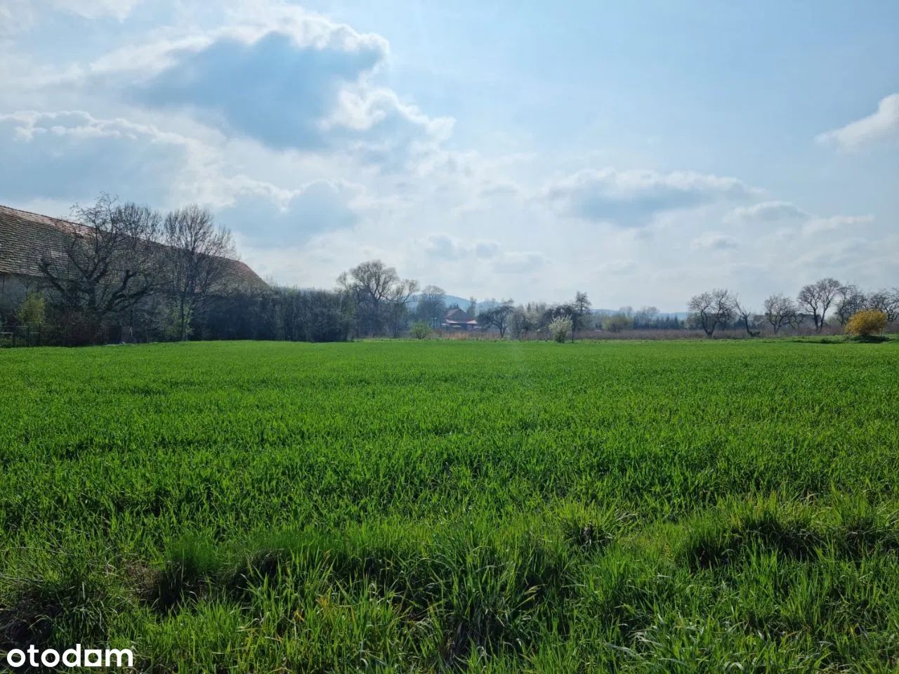 Działka budowlana Witoszów Dolny