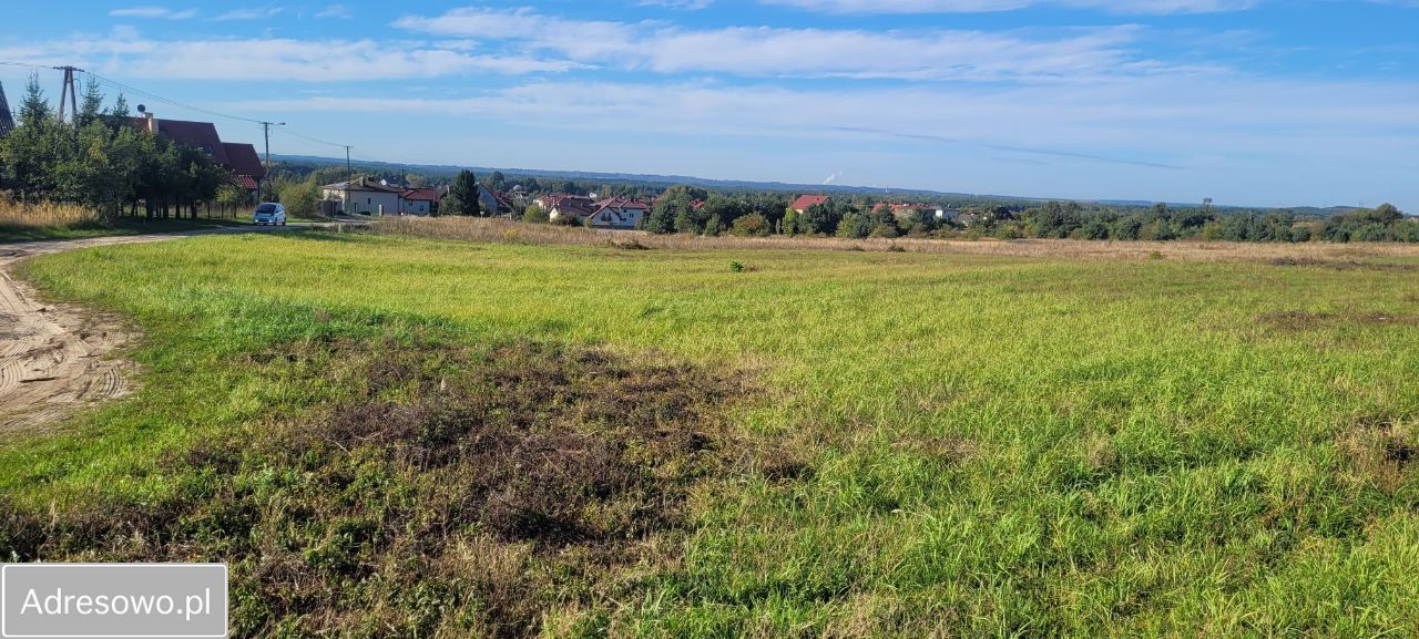 Działka budowlana Chechło, ul. Rodacka. Zdjęcie 5