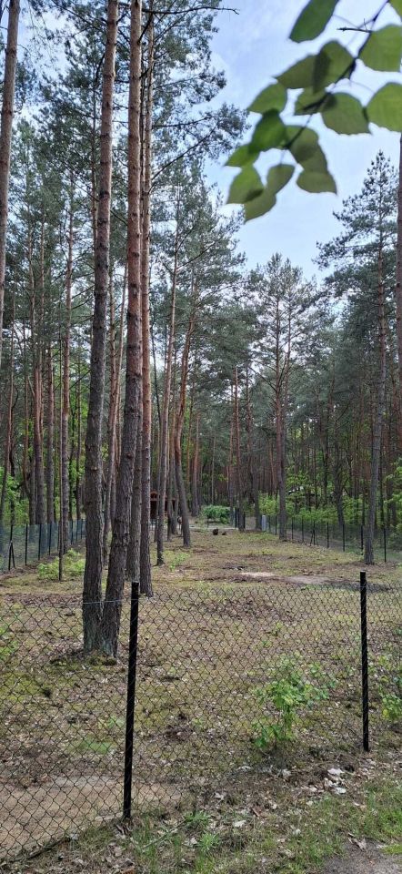 Działka budowlana Kania Polska, ul. Chabrowa. Zdjęcie 3